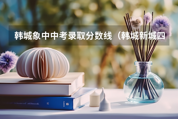 韩城象中中考录取分数线(韩城新城四中中考成绩)