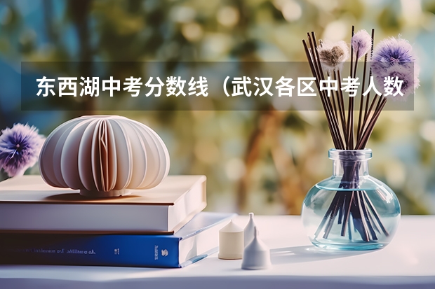 东西湖中考分数线（武汉各区中考人数介绍如下）