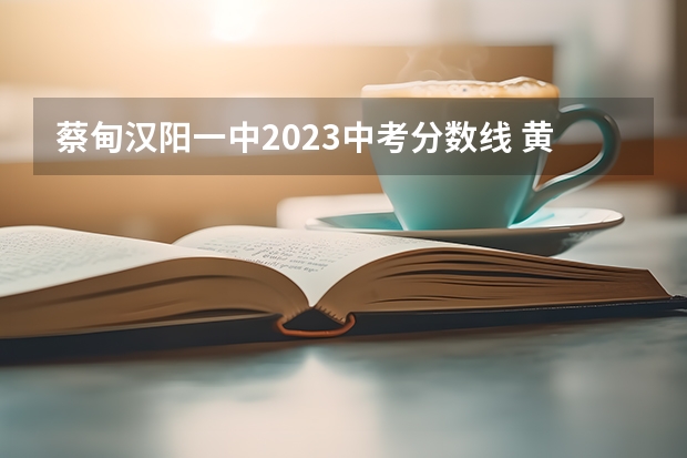 蔡甸汉阳一中2023中考分数线 黄陂区中考录取分数线
