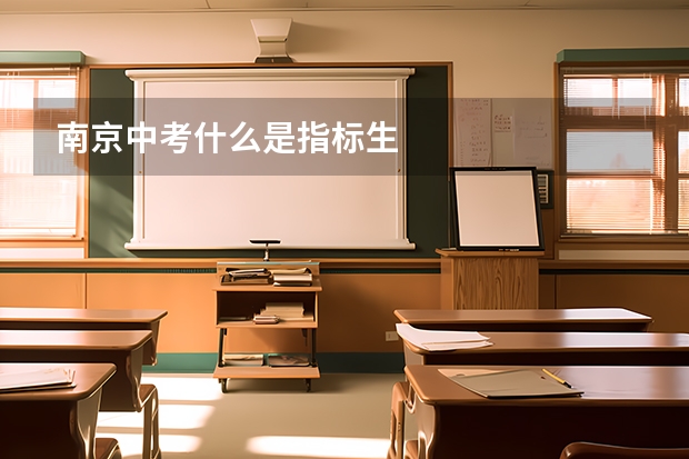 南京中考什么是指标生