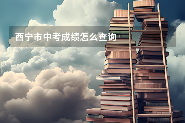 西宁市中考成绩怎么查询
