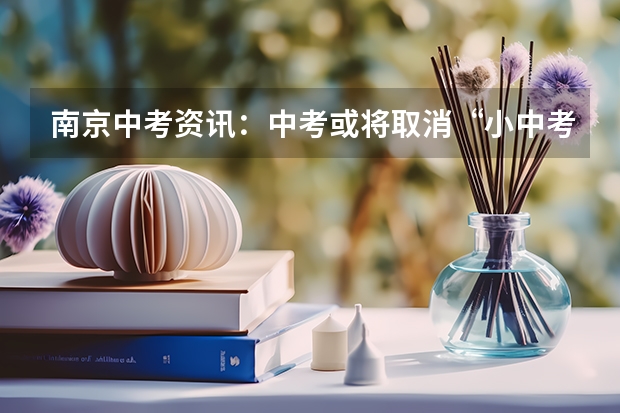 南京中考资讯：中考或将取消“小中考”引入“网考” 深圳中考资讯改革目的是取消中考