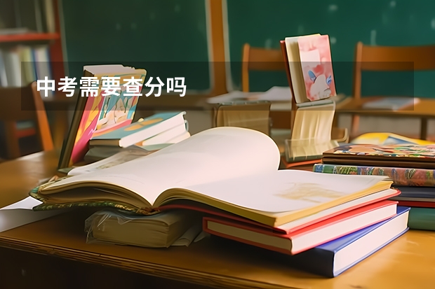 中考需要查分吗