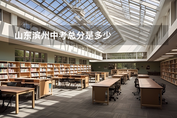 山东滨州中考总分是多少