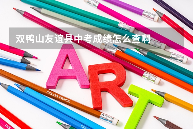 双鸭山友谊县中考成绩怎么查啊