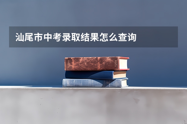 汕尾市中考录取结果怎么查询