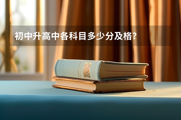 初中升高中各科目多少分及格？