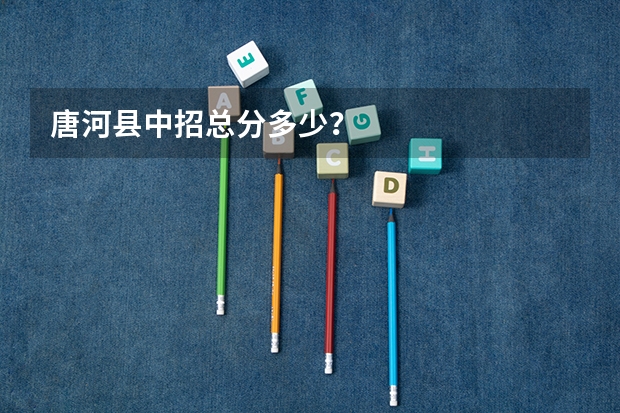唐河县中招总分多少？