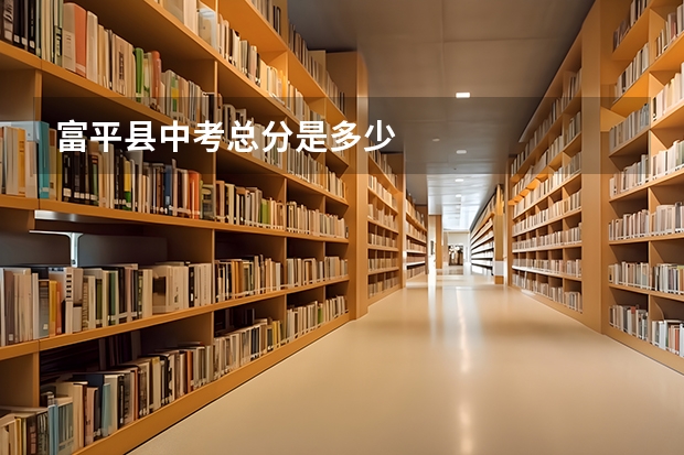 富平县中考总分是多少