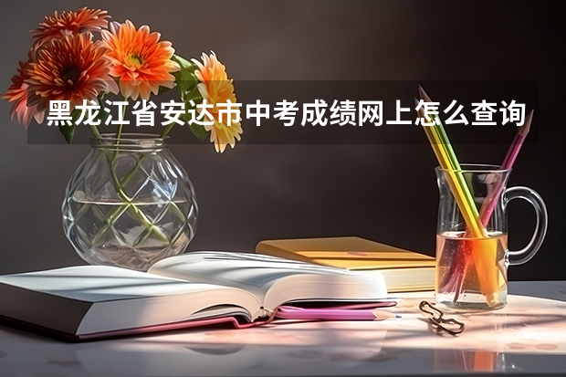 黑龙江省安达市中考成绩网上怎么查询