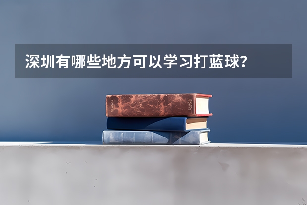 深圳有哪些地方可以学习打蓝球?
