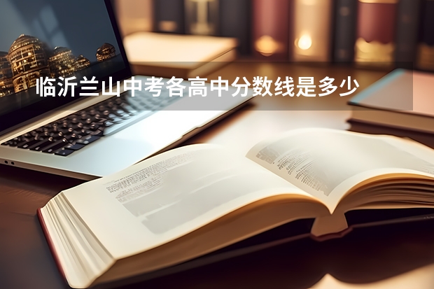 临沂兰山中考各高中分数线是多少