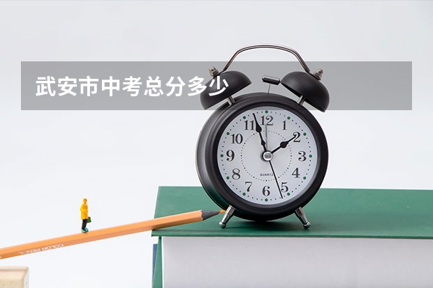 武安市中考总分多少