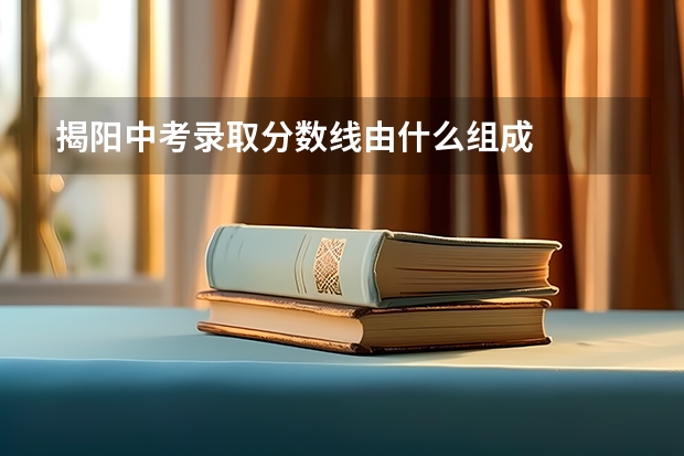 揭阳中考录取分数线由什么组成