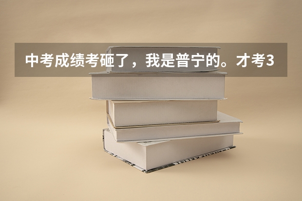 中考成绩考砸了，我是普宁的。才考377 请问兴文，普师高级中学，三中，哪个好