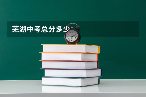 芜湖中考总分多少