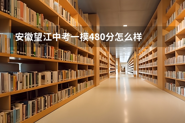 安徽望江中考一模480分怎么样