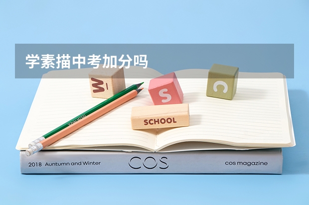 学素描中考加分吗