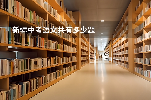 新疆中考语文共有多少题
