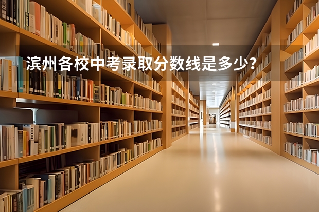 滨州各校中考录取分数线是多少？