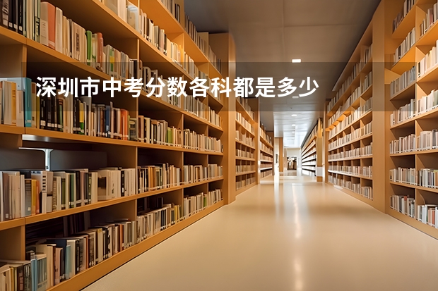 深圳市中考分数各科都是多少