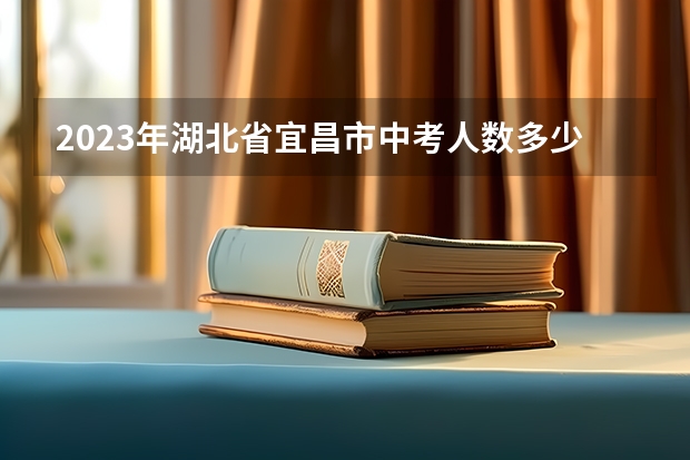 2023年湖北省宜昌市中考人数多少人呢？