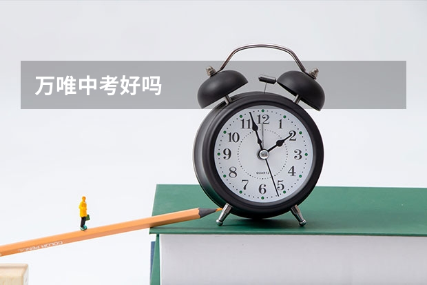 万唯中考好吗