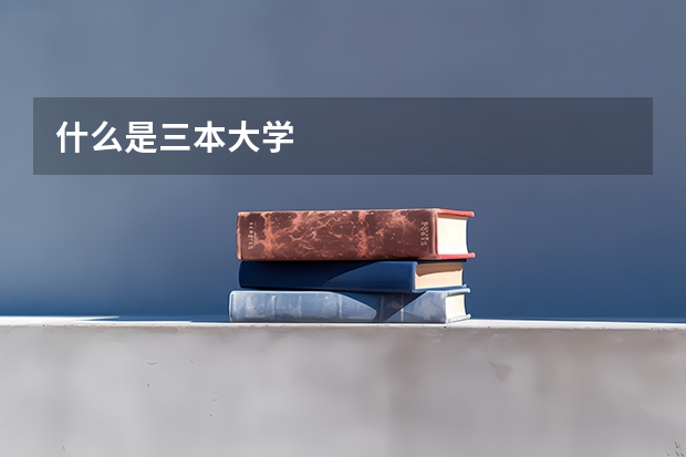 什么是三本大学
