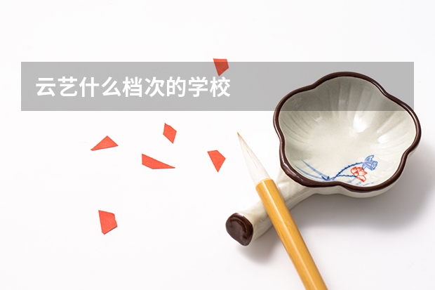 云艺什么档次的学校