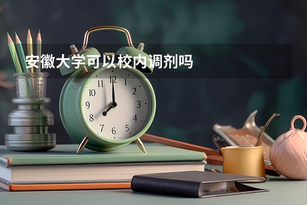 安徽大学可以校内调剂吗