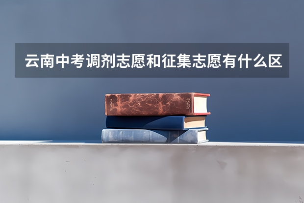 云南中考调剂志愿和征集志愿有什么区别