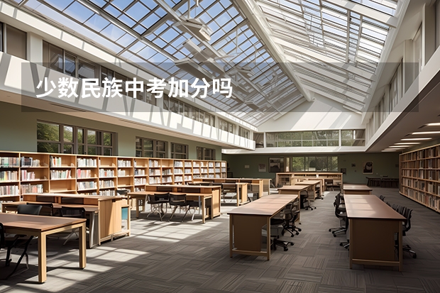 少数民族中考加分吗