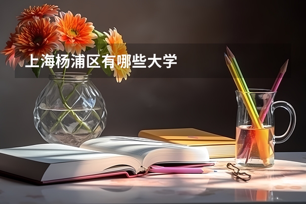 上海杨浦区有哪些大学