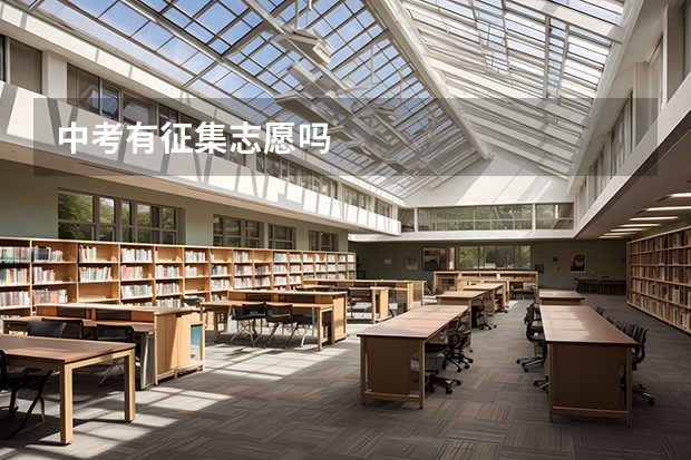 中考有征集志愿吗