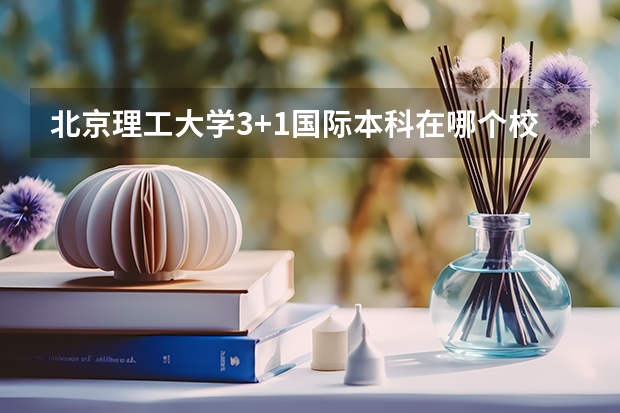 北京理工大学3+1国际本科在哪个校区?
