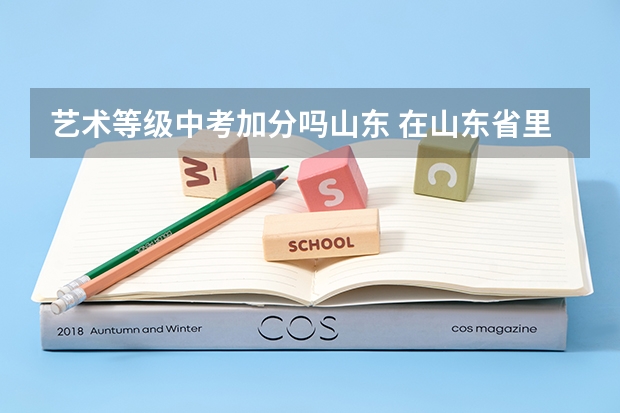 艺术等级中考加分吗山东 在山东省里动漫绘画、动漫表演的等级证书可不可以在高考中考里加分？