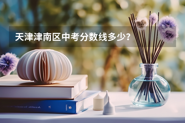 天津津南区中考分数线多少？
