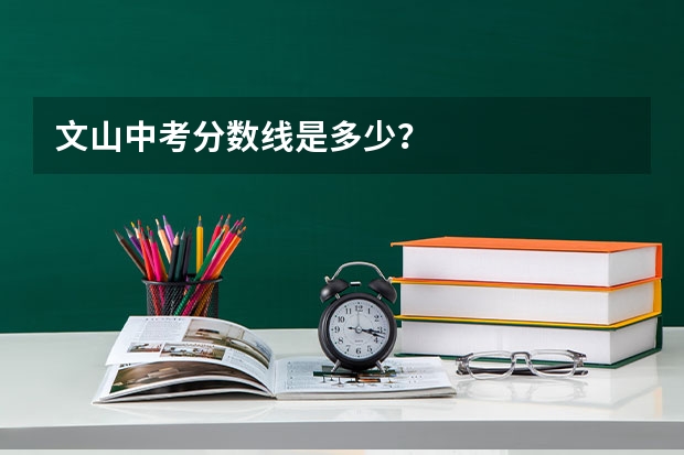 文山中考分数线是多少？